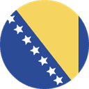 Bosnia and Herzegovina logo