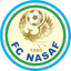 Nasaf Qarshi logo