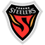 Pohang Steelers logo