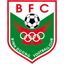 HCM City logo