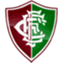 Fluminense PI logo