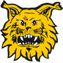 Ilves logo