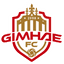 Gimhae FC 2008 logo