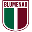 Blumenau Esporte Clube logo