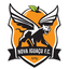 Nova Iguacu logo