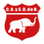 Defensores de Belgrano de Villa Ramallo logo