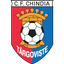 Chindia Targoviste logo