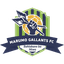 Marumo Gallants logo