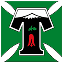 Deportes Temuco logo
