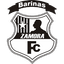 Zamora FC logo