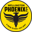 Wellington Phoenix B logo