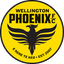 Wellington Phoenix logo