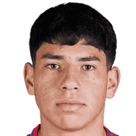 Nicolás Cárcamo player photo