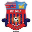 Dila Gori logo