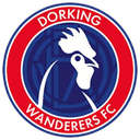 Dorking Wanderers logo