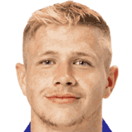 Dominik Veselovsky player photo